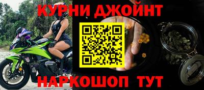 дживик Можга