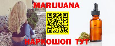 дживик Можга
